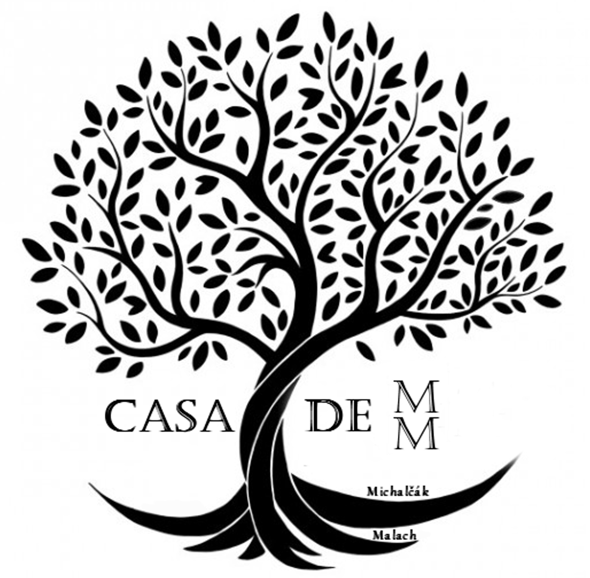 www.casademm.eu